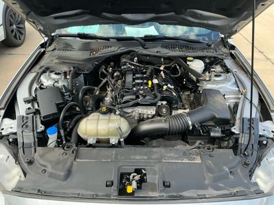 2021 Ford Mustang - Photo 13