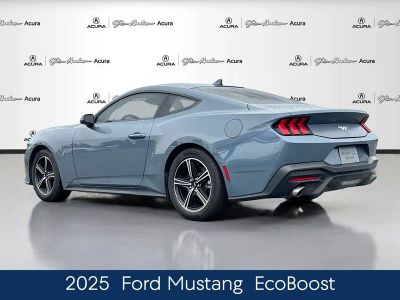 2025 Ford Mustang EcoBoost - Photo 5