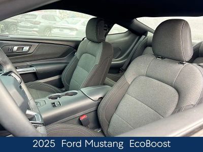2025 Ford Mustang EcoBoost - Photo 8
