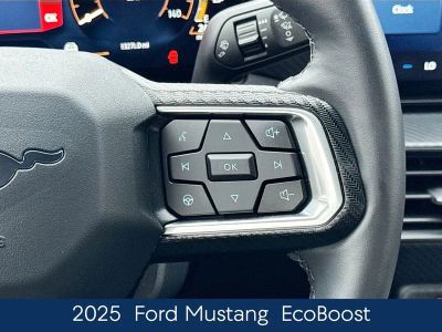 2025 Ford Mustang EcoBoost - Photo 25