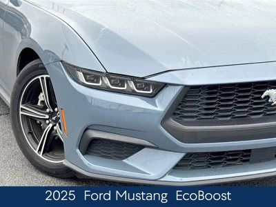 2025 Ford Mustang EcoBoost - Photo 10