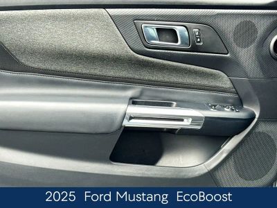 2025 Ford Mustang EcoBoost - Photo 15