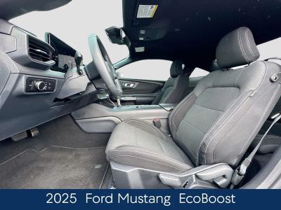 2025 Ford Mustang EcoBoost - Photo 22
