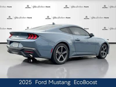 2025 Ford Mustang EcoBoost - Photo 7