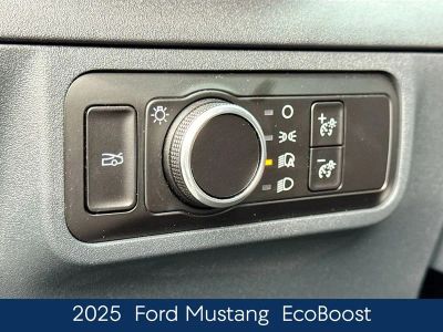 2025 Ford Mustang EcoBoost - Photo 20
