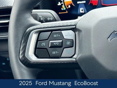 2025 Ford Mustang EcoBoost - Photo 24