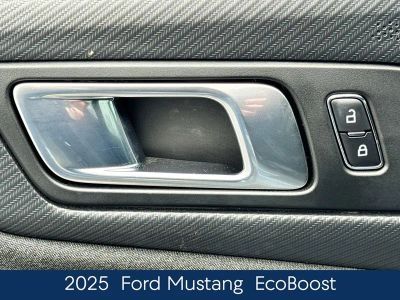 2025 Ford Mustang EcoBoost - Photo 16