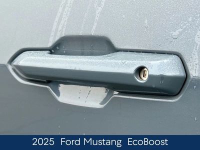 2025 Ford Mustang EcoBoost - Photo 12