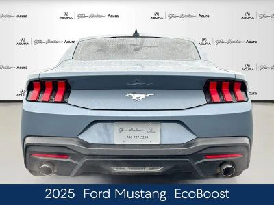 2025 Ford Mustang EcoBoost - Photo 6