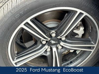 2025 Ford Mustang EcoBoost - Photo 11