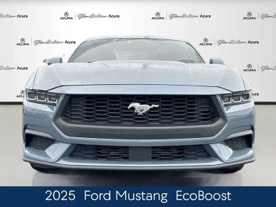 2025 Ford Mustang EcoBoost - Photo 4