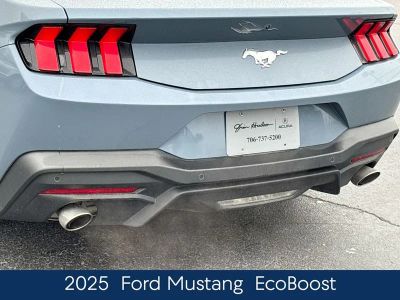 2025 Ford Mustang EcoBoost - Photo 9