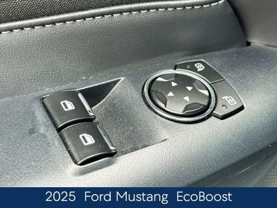 2025 Ford Mustang EcoBoost - Photo 17