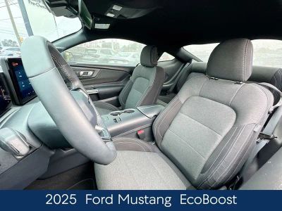 2025 Ford Mustang EcoBoost - Photo 13