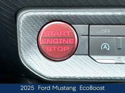 2025 Ford Mustang EcoBoost - Photo 21