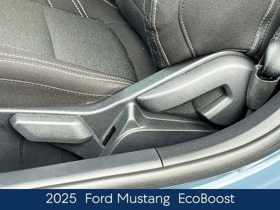 2025 Ford Mustang EcoBoost - Photo 18