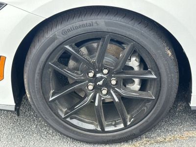 2026 Ford Mustang — photo 11 view