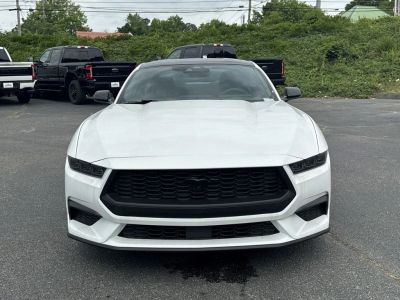 2026 Ford Mustang — side profile view