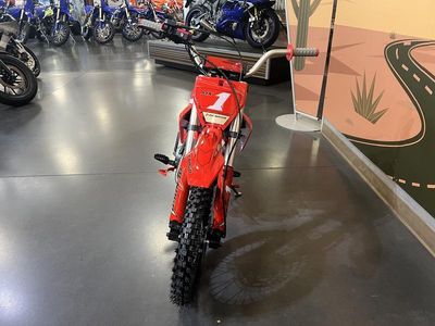 2026 Denago Powersports MX1 - Photo 3