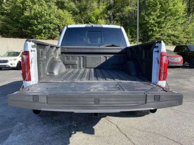 2025 Ford F-150 - Photo 11