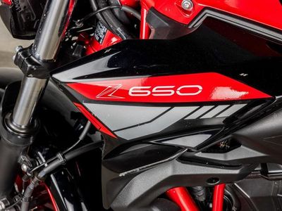 2024 Kawasaki Z650 ABS - Photo 25