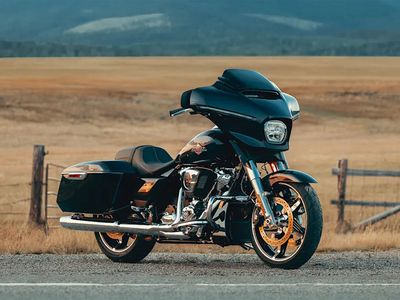 2025 Harley-Davidson Street Glide - Photo 9