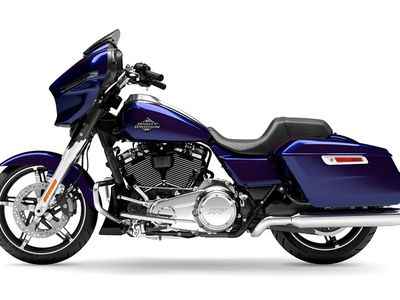 2025 Harley-Davidson Street Glide - Photo 11