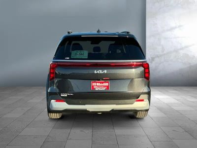 2026 Kia Carnival — detail view