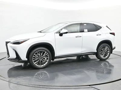 2026 Lexus NX - Photo 2