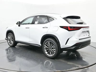 2026 Lexus NX - Photo 3