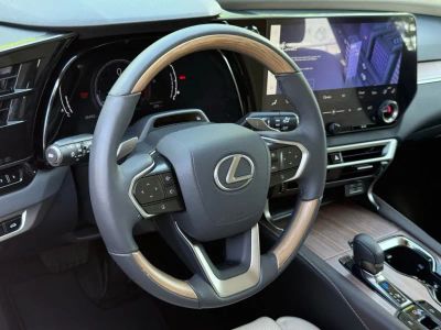2023 Lexus RX - Photo 16