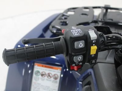 2025 Honda FourTrax Rancher 4x4 Automatic DCT IRS EPS - Photo 12
