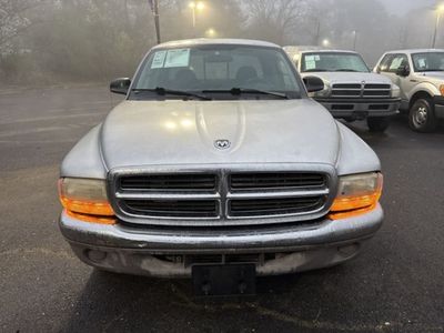 2004 Dodge Dakota - Photo 2