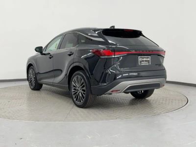2026 Lexus RX 350 LUXURY AWD - Photo 3