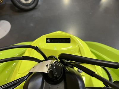 2026 Yamaha Raptor 700R SE - Photo 8