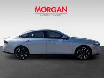 2026 Honda Accord Hybrid — side profile view