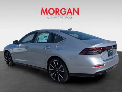 2026 Honda Accord Hybrid — detail view