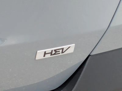 2026 Kia Carnival Hybrid — photo 13 view