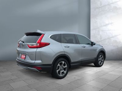 2019 Honda CR-V - Photo 6