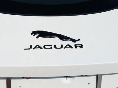 2024 Jaguar F-TYPE — photo 11 view