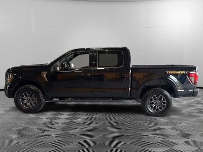 2025 Ford F-150 — side profile view