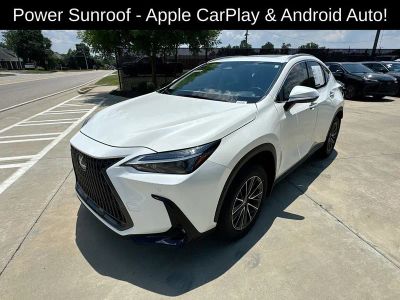 2025 Lexus NX — detail view