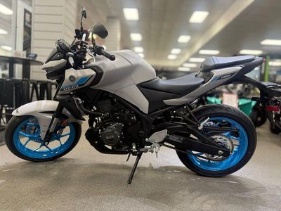 2025 Yamaha MT-03 - Photo 6