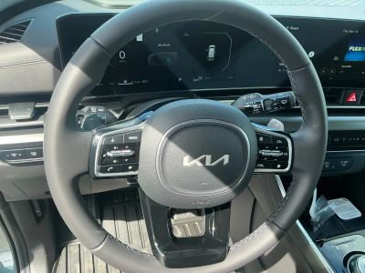 2026 Kia Carnival Hybrid — photo 14 view