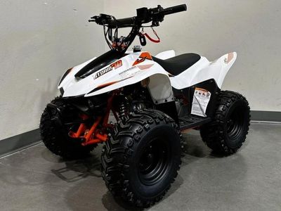 2025 Kayo Fox / Storm 70 - Photo 2