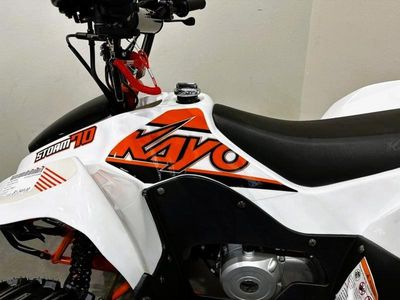 2025 Kayo Fox / Storm 70 - Photo 12
