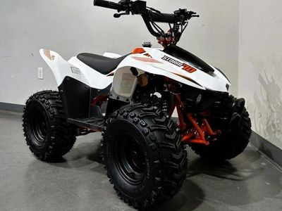 2025 Kayo Fox / Storm 70 - Photo 1