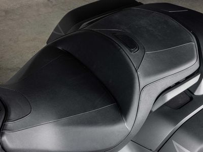 2025 Honda Gold Wing 50th Anniversary - Photo 19