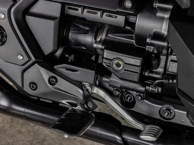 2025 Honda Gold Wing 50th Anniversary - Photo 8