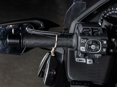 2025 Honda Gold Wing 50th Anniversary - Photo 20